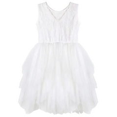 Ella Lace Tutu dress