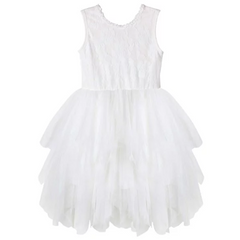 Ella Lace Tutu dress