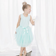 Ice Princess Tutu Dress